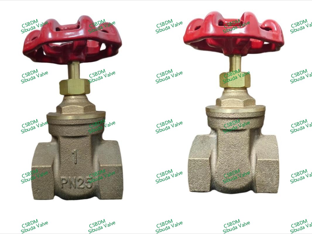 Bronze FPT/SW Ends Gate Valves/Globe Valves